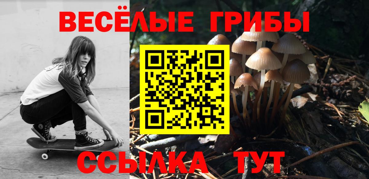 Серов  Галлюциногенные грибы мицелий  Вход с VPN  Галлюциногенные грибы прущие грибы 